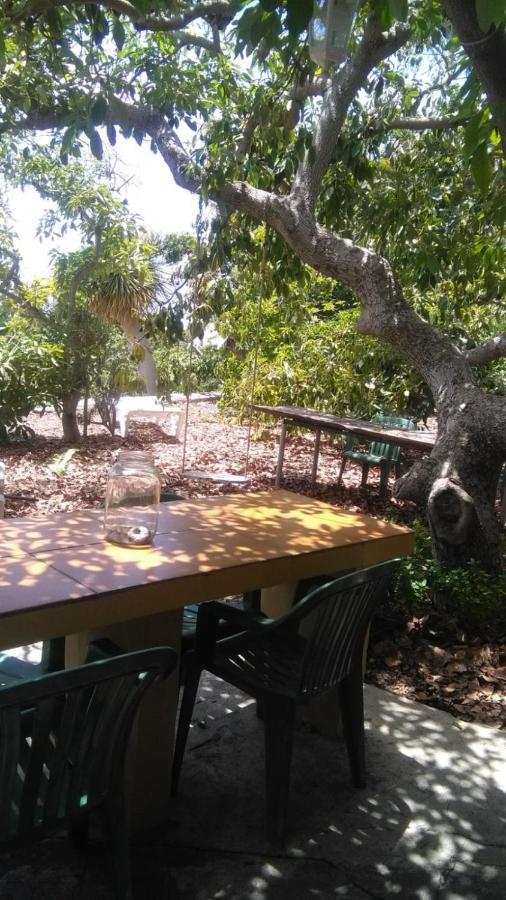 Villa Casa Los Mangos Tijarafe Exterior foto